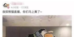 “王思聰”商標(biāo)被公然叫賣80萬！