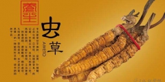 冬蟲夏草產(chǎn)品商標(biāo)屬于哪一類