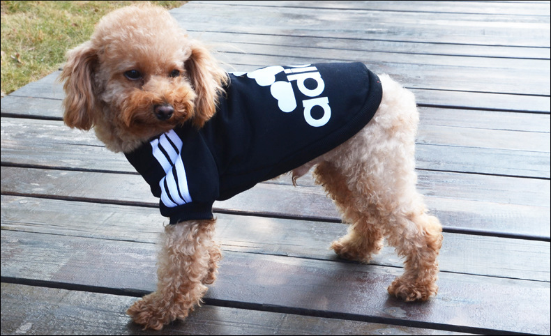 Adidas還有寵物服裝支線Adidog？ 其實是商標(biāo)侵權(quán)