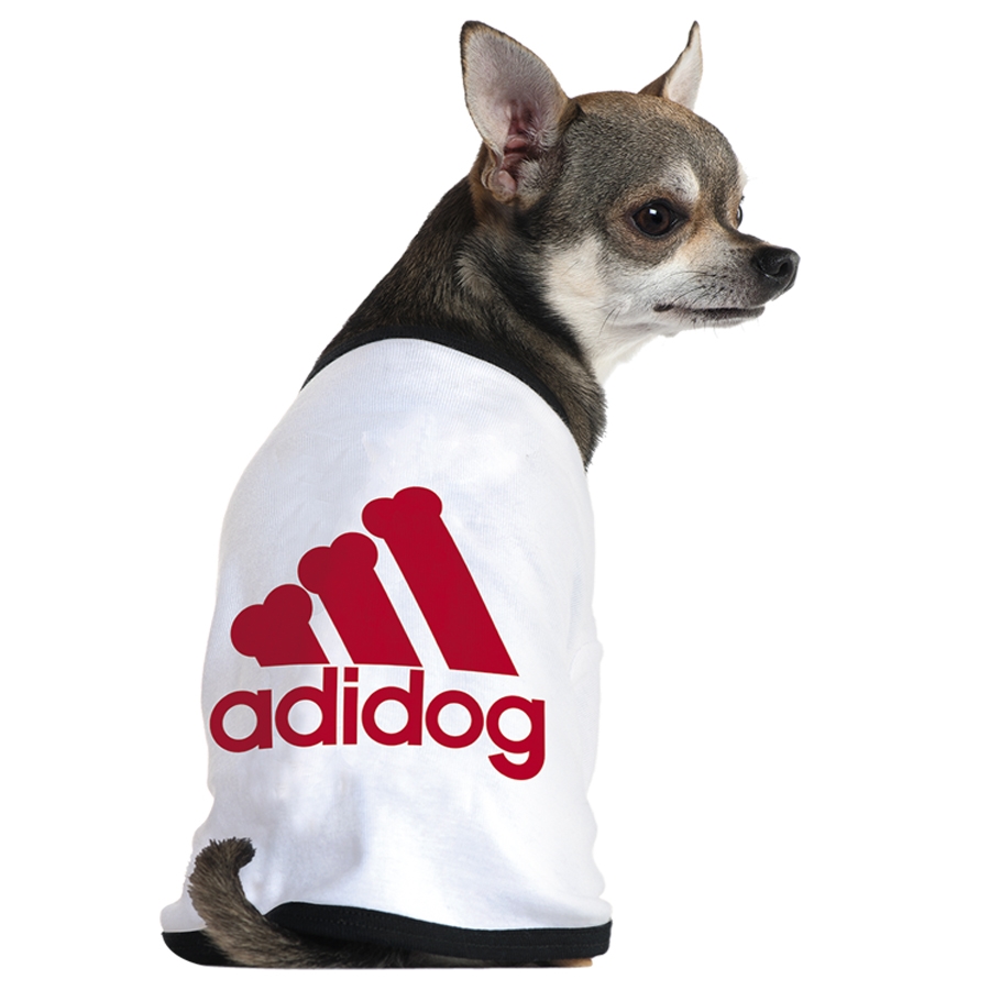 Adidas還有寵物服裝支線Adidog？ 其實是商標(biāo)侵權(quán)