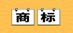 填寫商標(biāo)續(xù)展申請書需要注意哪些問題？記住這幾點不再抓瞎