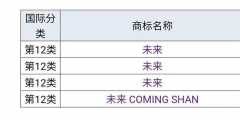 蔚來”為什么不用“未來”，商標(biāo)是否被他人注冊(cè)