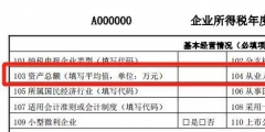 資產(chǎn)總額如何取數(shù)和填寫(季初值和季末值是什么)