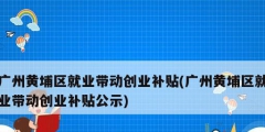 廣州黃埔區(qū)就業(yè)帶動創(chuàng)業(yè)補貼(廣州黃埔區(qū)就業(yè)帶動創(chuàng)業(yè)補貼公示)