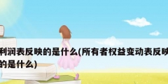 利潤表反映的是什么(所有者權(quán)益變動表反映的是什么)