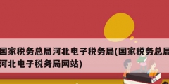 國家稅務總局河北電子稅務局(國家稅務總局河北電子稅務局網站)