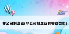 非公司制企業(yè)(非公司制企業(yè)有哪些類型)